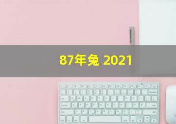 87年兔 2021